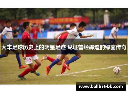 大丰足球历史上的明星足迹 见证曾经辉煌的绿茵传奇 大丰足球历史上的明星足迹 见证曾经辉煌的绿茵传奇