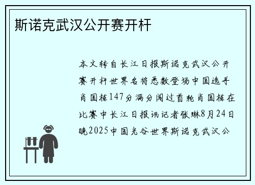 斯诺克武汉公开赛开杆